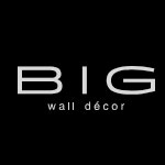 Big Wall Decor Coupon Codes