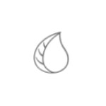 Chlorophyll Water Coupon Codes