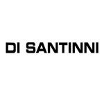 Di Santinni Coupon Codes