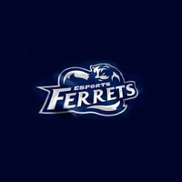 Find Out About Ferrets Reviews
