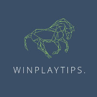 Winplaytips Reviews