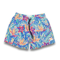 The Board Shorts Of Paradise