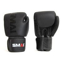 Elite85 Boxing Gloves