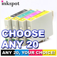Epson Compatible 20 Pack