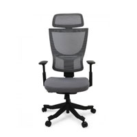 BackSupport office chair BS8