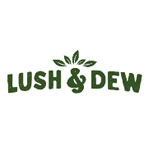 LUSH & DEW Coupon Codes and Deals