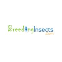 Insect Breeding Coupon Codes and Deals