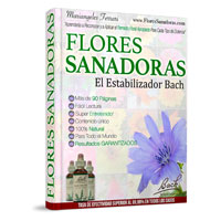 Flores Sanadoras Coupon Codes and Deals