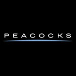 Peacocks UK Coupon Codes and Deals