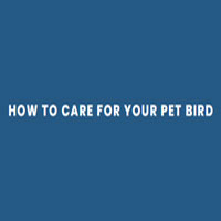 Pet Bird. Coupon Codes and Deals