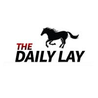 The Daily Lay Coupon Codes and Deals