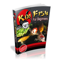 Koi Fish Clubs Coupon Codes and Deals