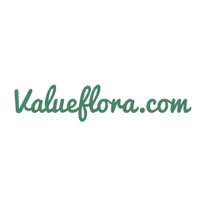 ValueFlora Coupon Codes and Deals