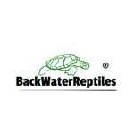 Back Water Reptiles