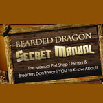 Bearded Dragon Secret Manual
