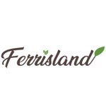 Ferrisland
