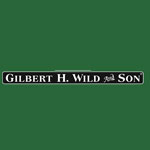 Gilbert H Wild