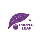 PURPLE LEAF