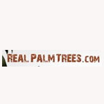 Real Palm Trees
