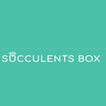 Succulents Box