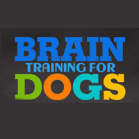 Brain Training For Dogs
