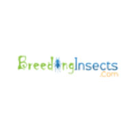 Insect Breeding