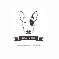 An English Bull Terrier
