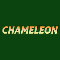 Chameleon Care Guide