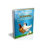 Chicken Keeping Answers