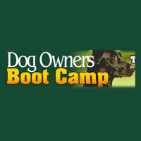 Accelerated Dog Training Health G