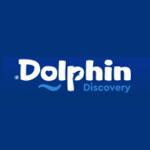 Dolphin Discovery