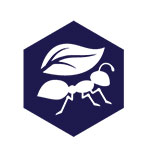 DoYourOwnPestControl