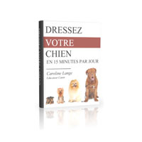 Dresser Son Chien