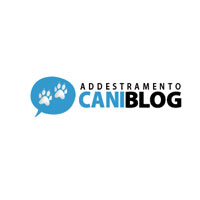 Cane Pro Video Lezioni Per Educar