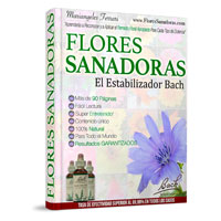 Flores Sanadoras