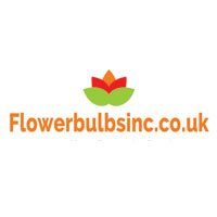 Flowerbulbs