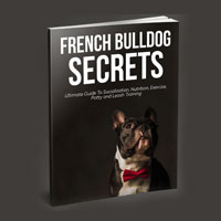 French Bulldog Secrets