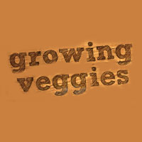 Growing Veggies