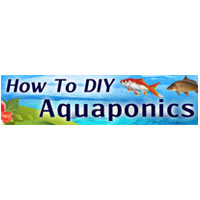 How To Diy Aquaponics