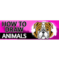 How To Draw Animals