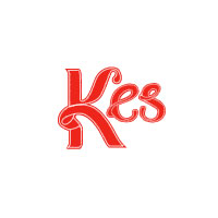 KES Visum