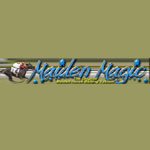 Maiden Horse Betting System