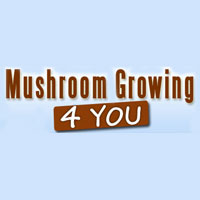 Mushroom Growing 4 You