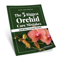 Orchid Secrets Revealed