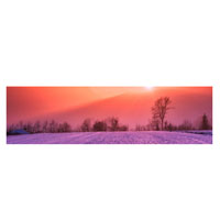 How To Sell Your Artwork