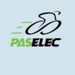 paselec-ebike