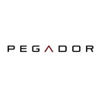 Pegador Fashion