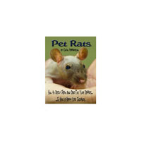Pet Rat Care And Training Guide