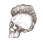 Rehair System