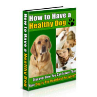 Golden Retriever Guide